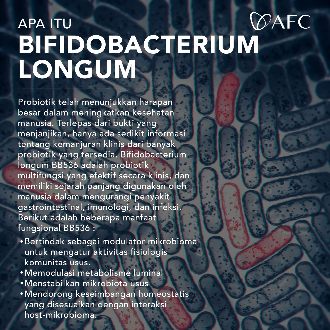 Bifidobacterium longum