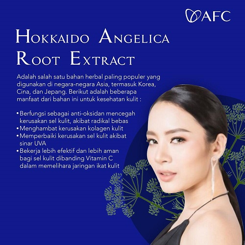 Hokkaido Angelica Root Extract