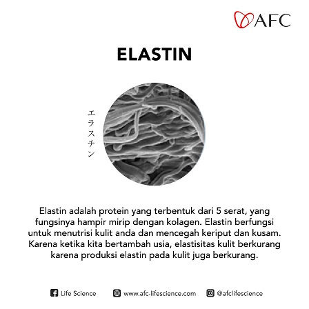 elastin