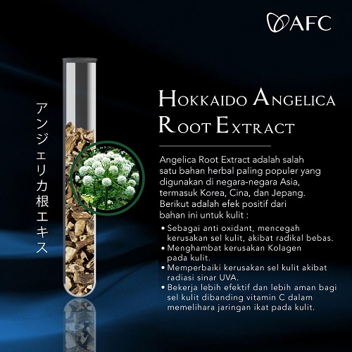 Hokkaido Angelica Root Extract