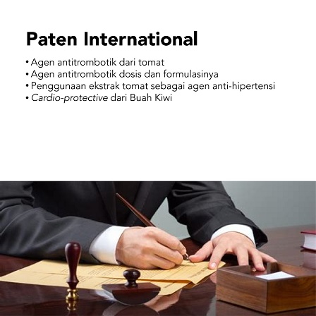 paten international fruitflow